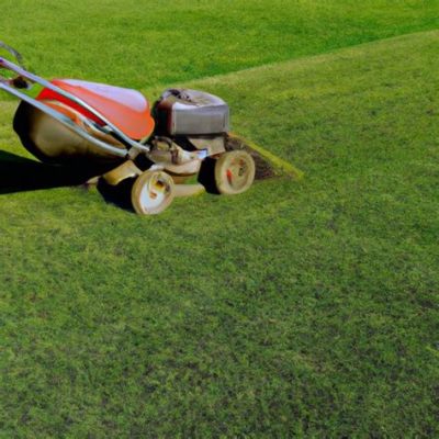 How Soon Can I Mow After Granular Fertilizer: A Guide to Timing and Lawn Care